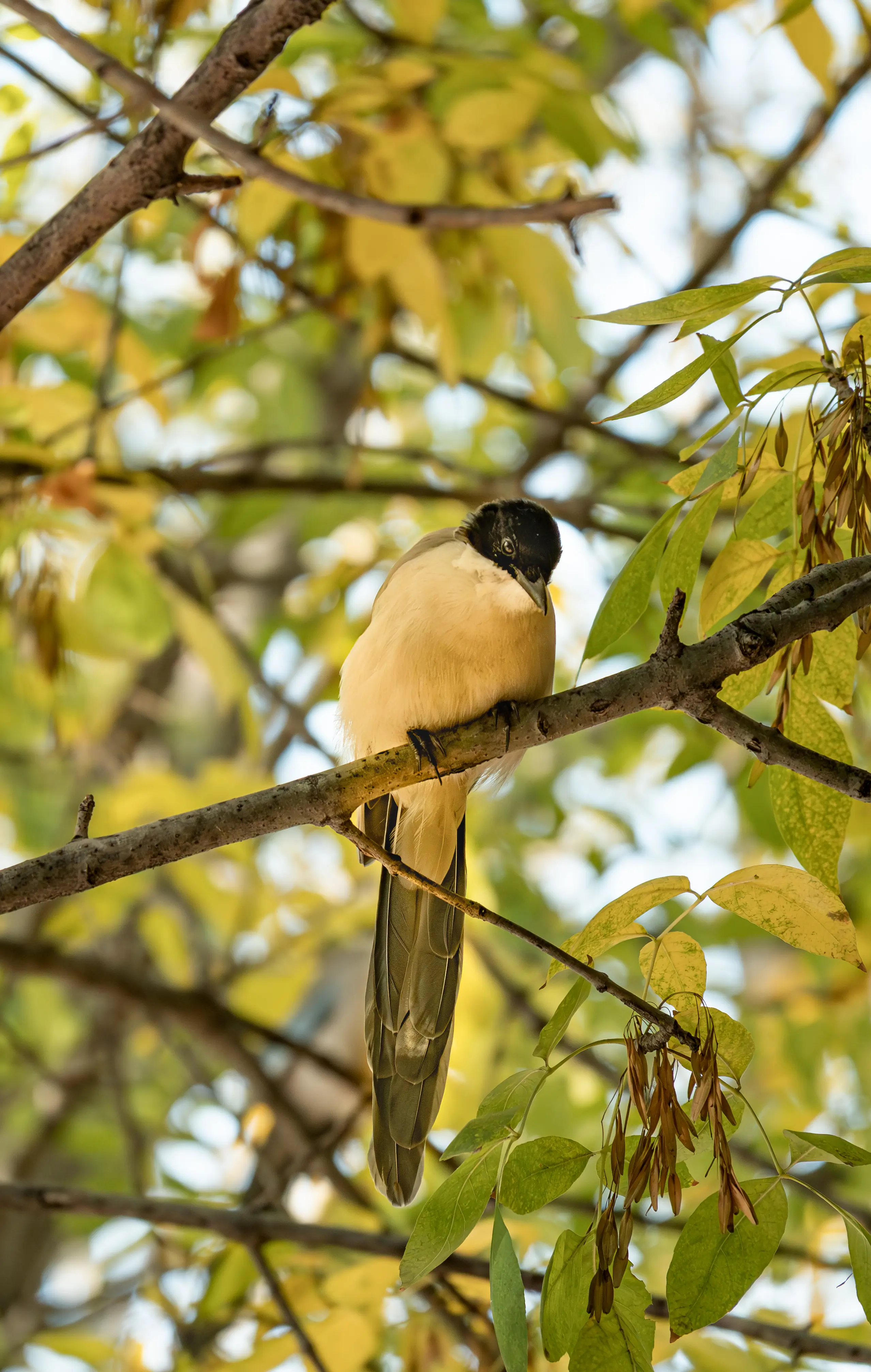 DSC_5416.webp