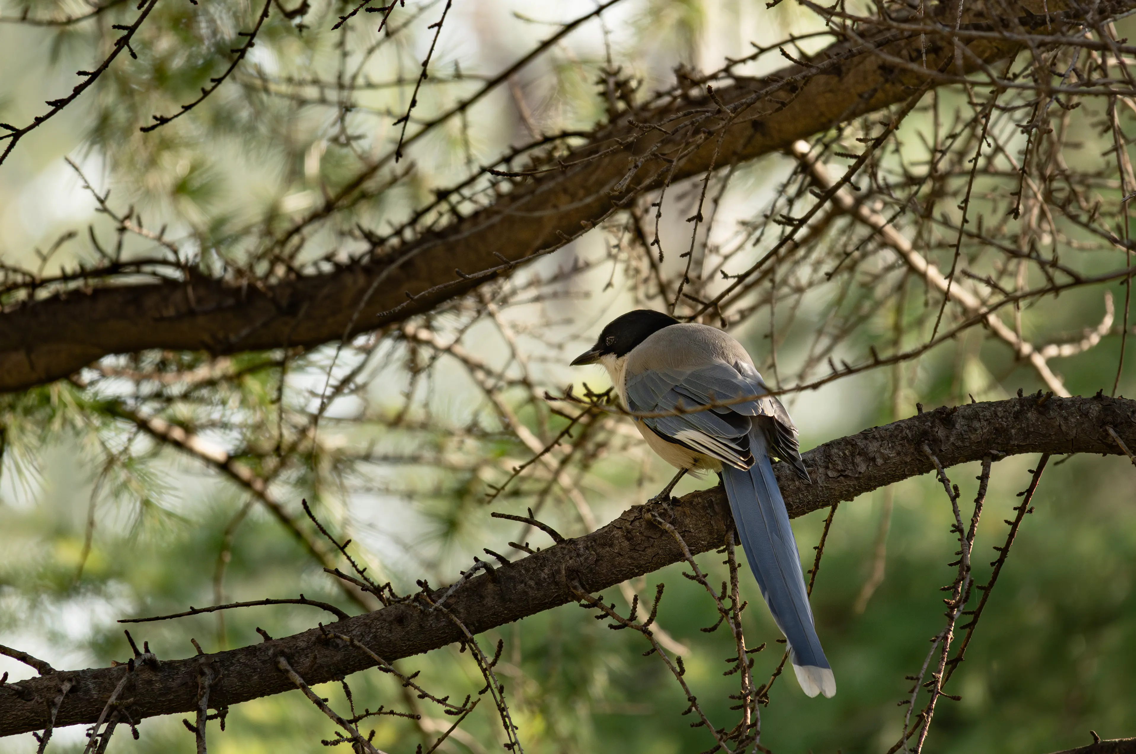 DSC_5417.webp