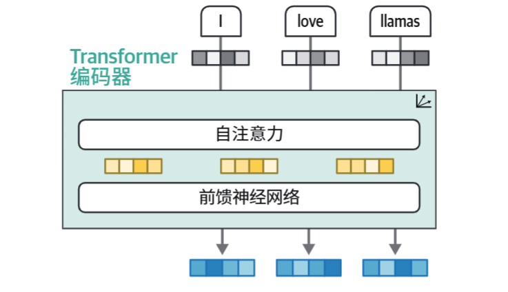 HOLLM-1编码器自注意力.jpg
