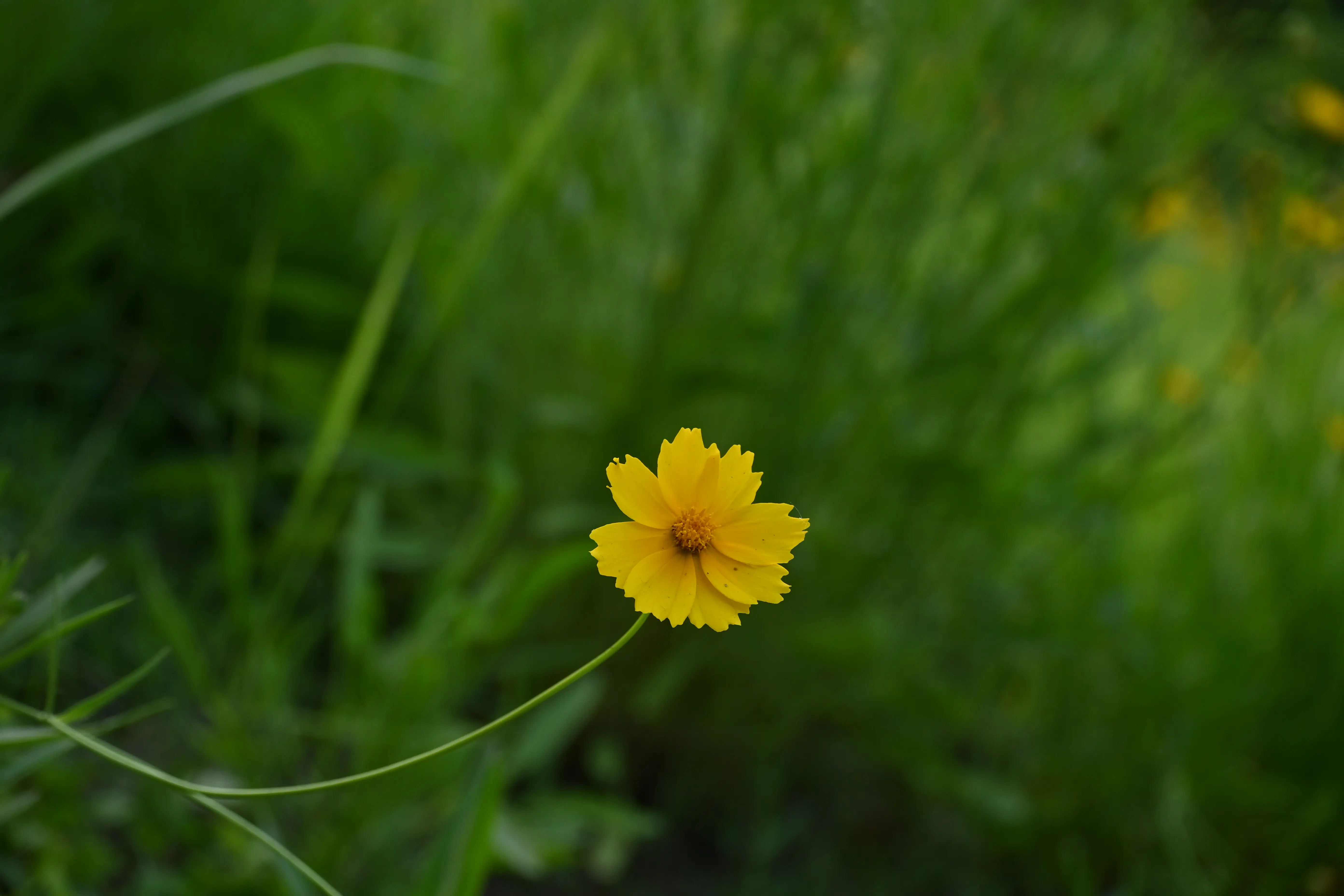 c7058cfac4e7e558051fb560a5c93cc.webp
