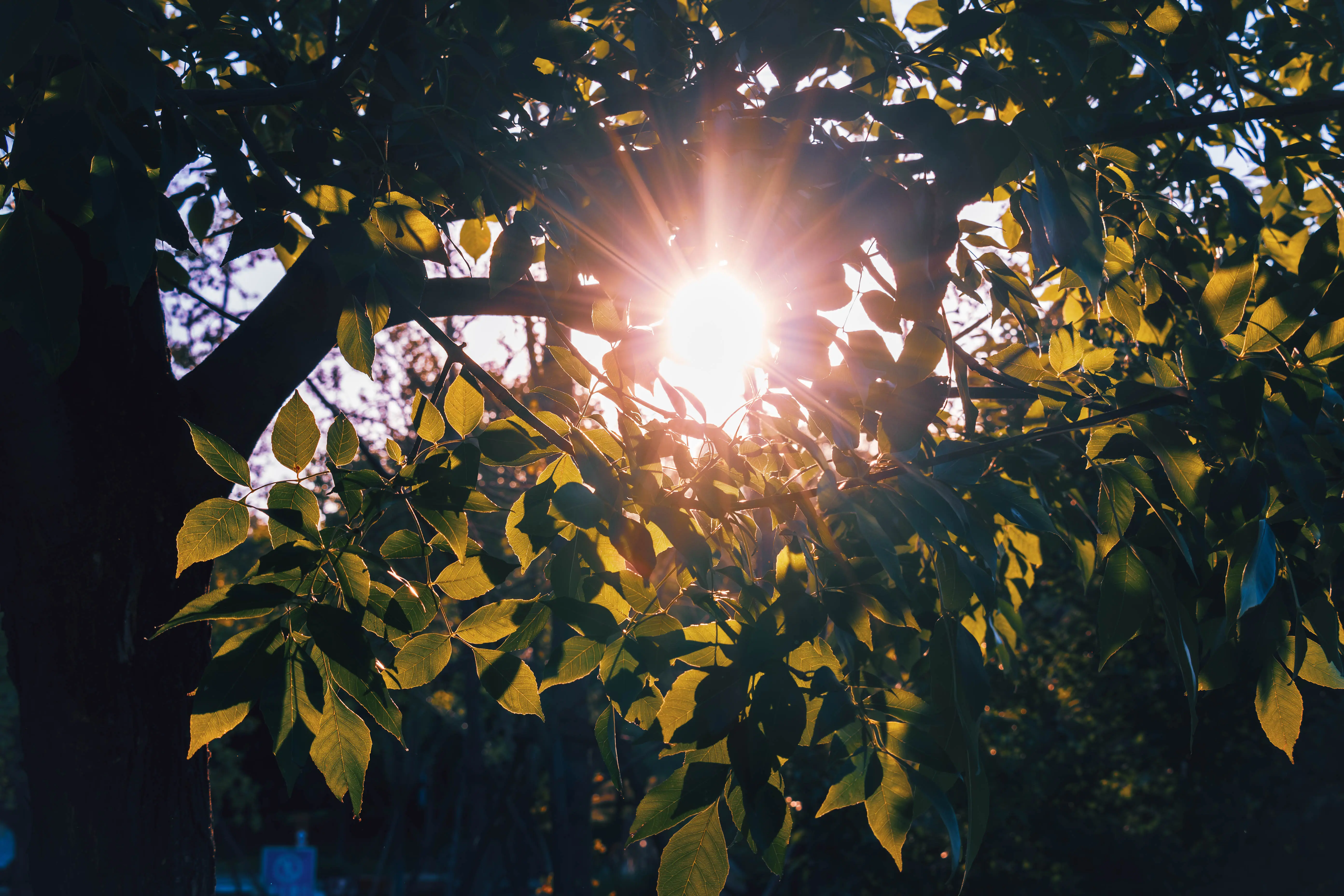 d3597731574333218b92c6562490834.webp